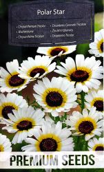 Chrysanthemum Tricolor Polar White Seeds